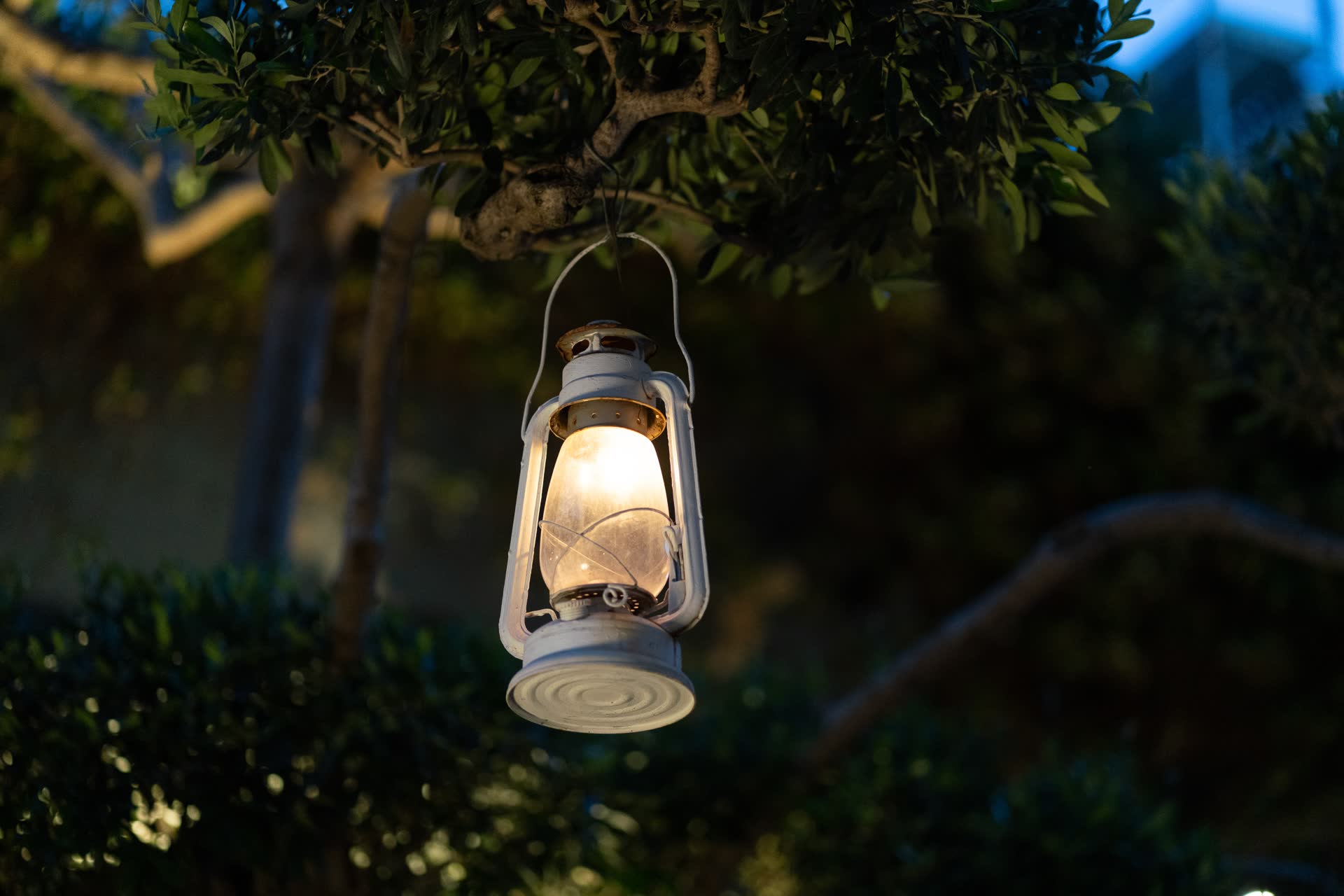 Il giardino incantato de Il Chiostro Eventi